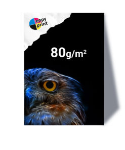 Großformatdruck auf 80g/m² Papier