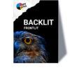 Großformatdruck auf Backlit/Frontlit