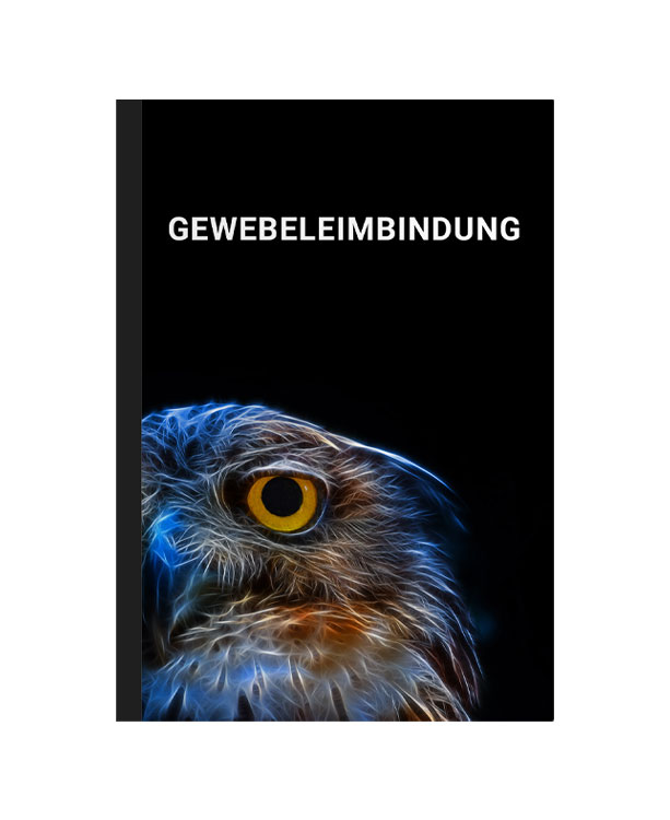 Gewebeleimbindung mit transparenter Folie und Rückenkarton für Dokumente.