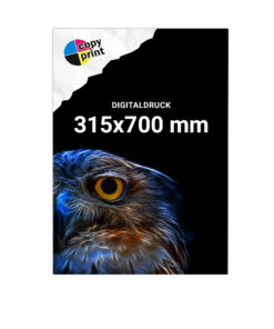 Digitaldruck im Format 315x700 mm in Farbe oder Schwarz-Weiß für Dokumente und Unterlagen.