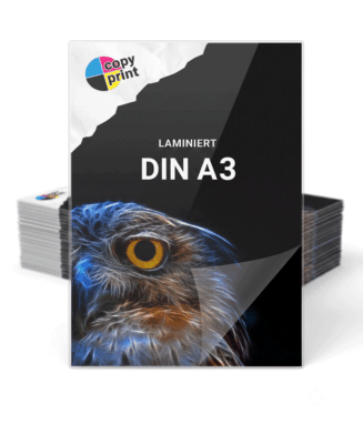 Digitaldruck mit Schutzlaminat im Format DIN A3 in Farbe oder Schwarz-Weiß.